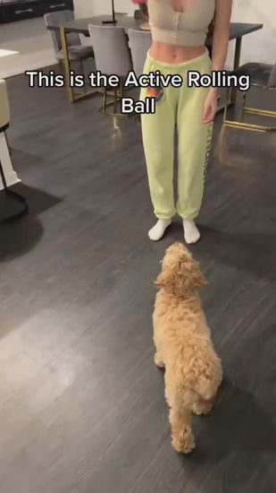 1.mp4